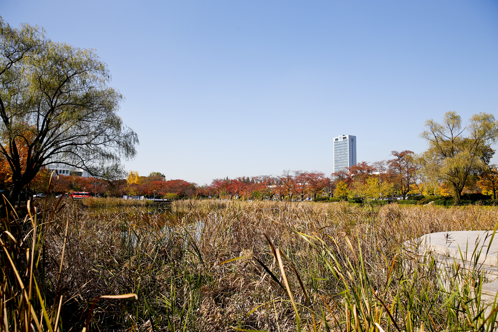 Campus-Autumn 2014